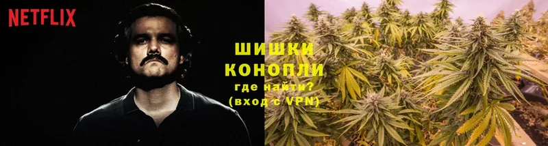 Марихуана OG Kush  Грозный 